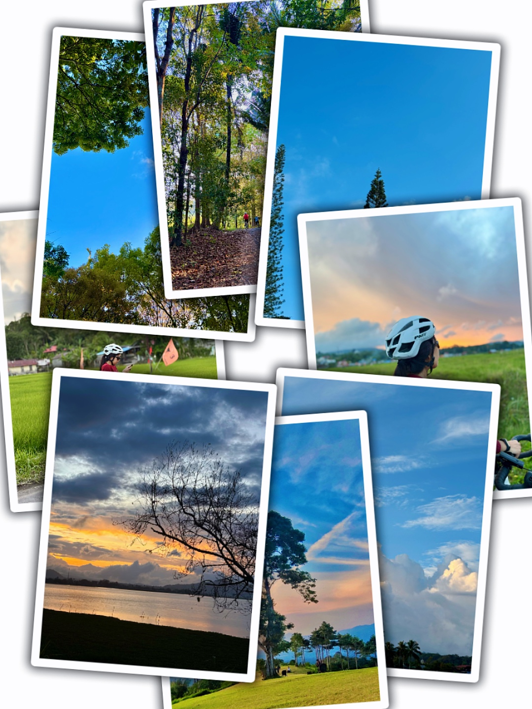 8Pic Aesthetic Frame