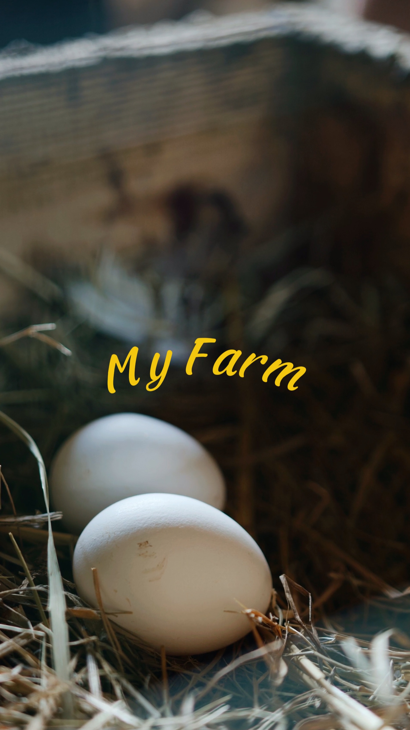 Ma ferme