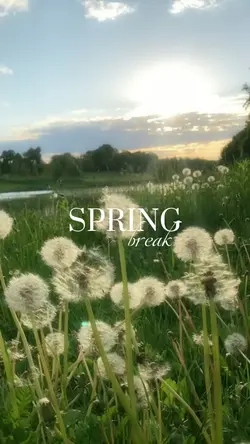 Spring Break