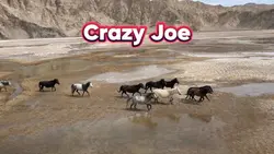 Crazy Joe
