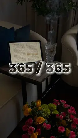 365 photos in 2025