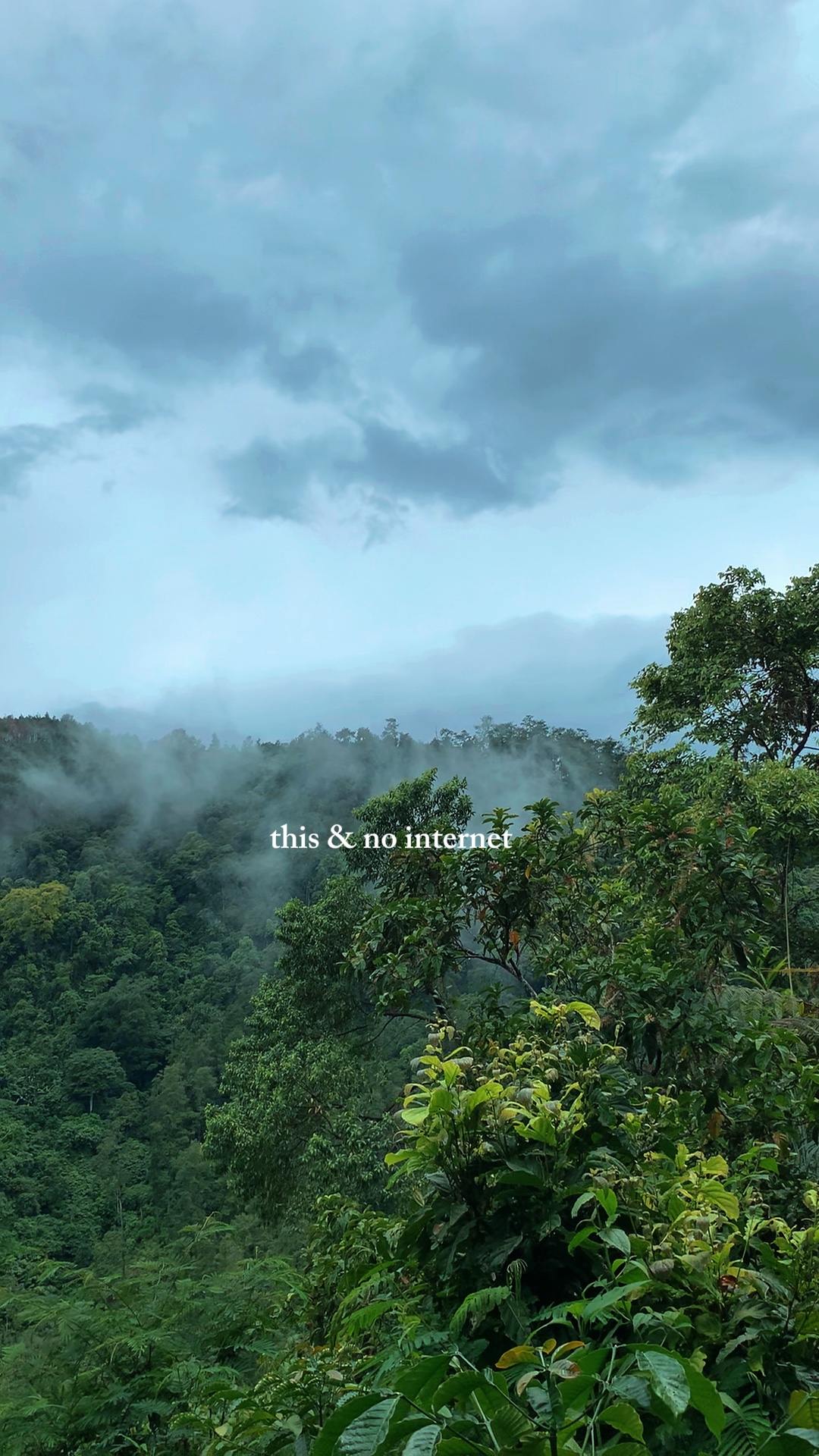 this & no internet