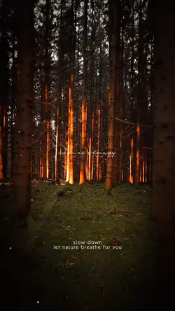 Nature Therapy