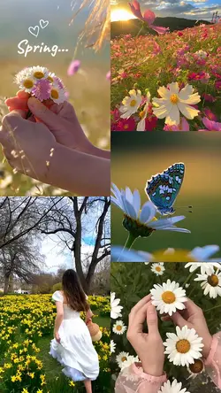 Spring..!!