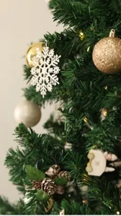 Natal