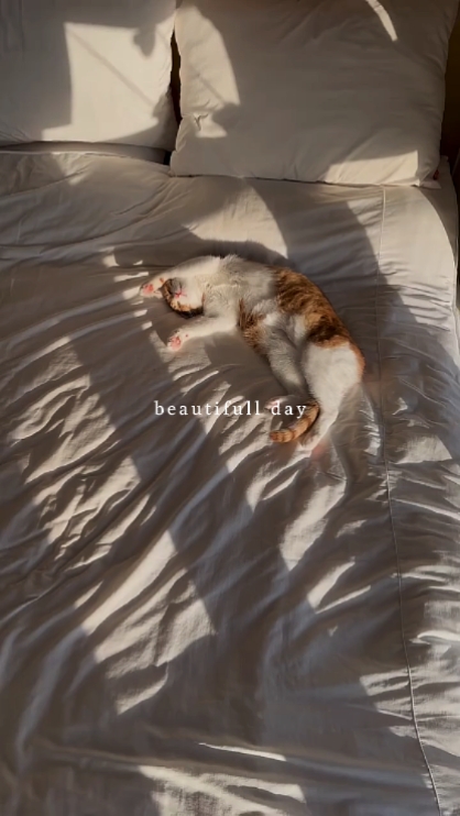 belle journée