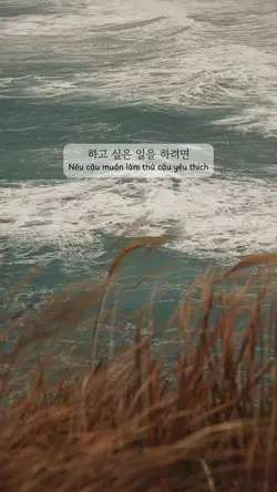 그냥 하자 🤍
