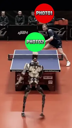 Ping Pong