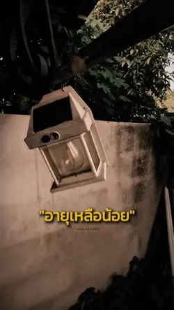 อายุน้อยร้อยล้าน