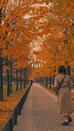 fall season 