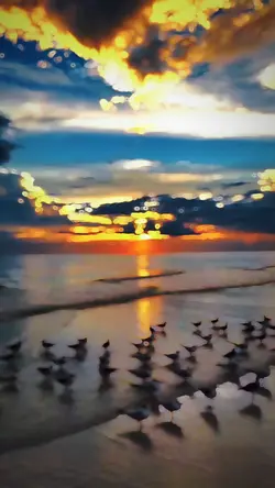 New Slowmotion 🌊✨