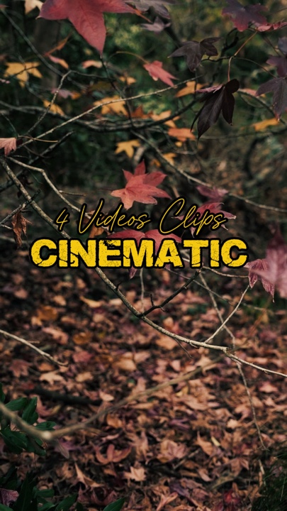 Cinematic 4 Videos 