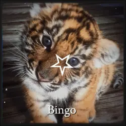 Fav animal <3