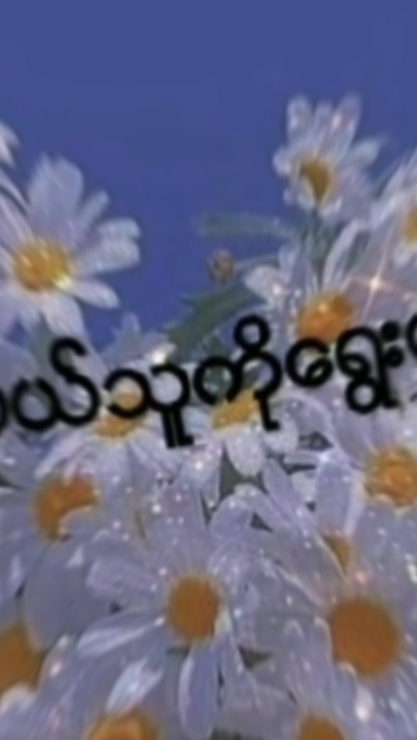 ကြိုက်တာရွှေး