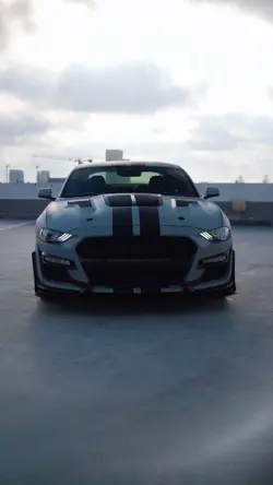 Ford Mustang Shelby