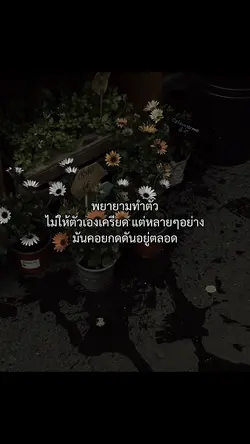 พยายามทำตัว