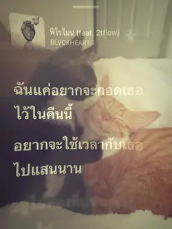 ฟีโรโมน