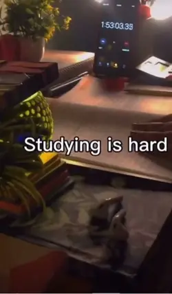 Study tip