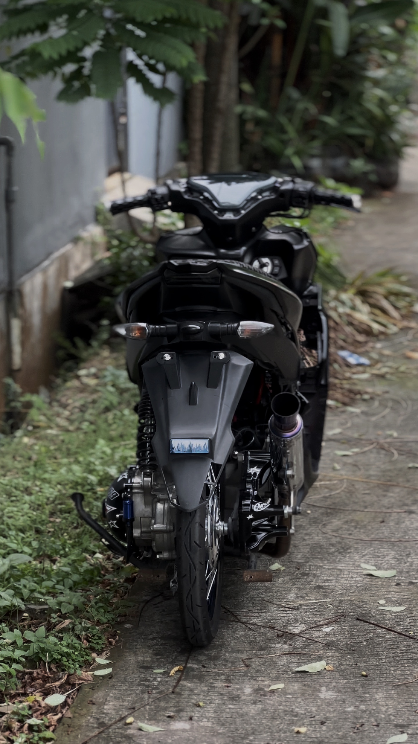 Cover Picture