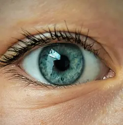 Eye filter 