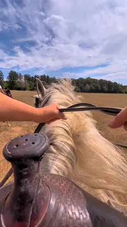 Horse Slowmo