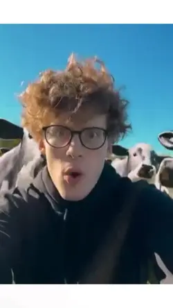 WITH COW