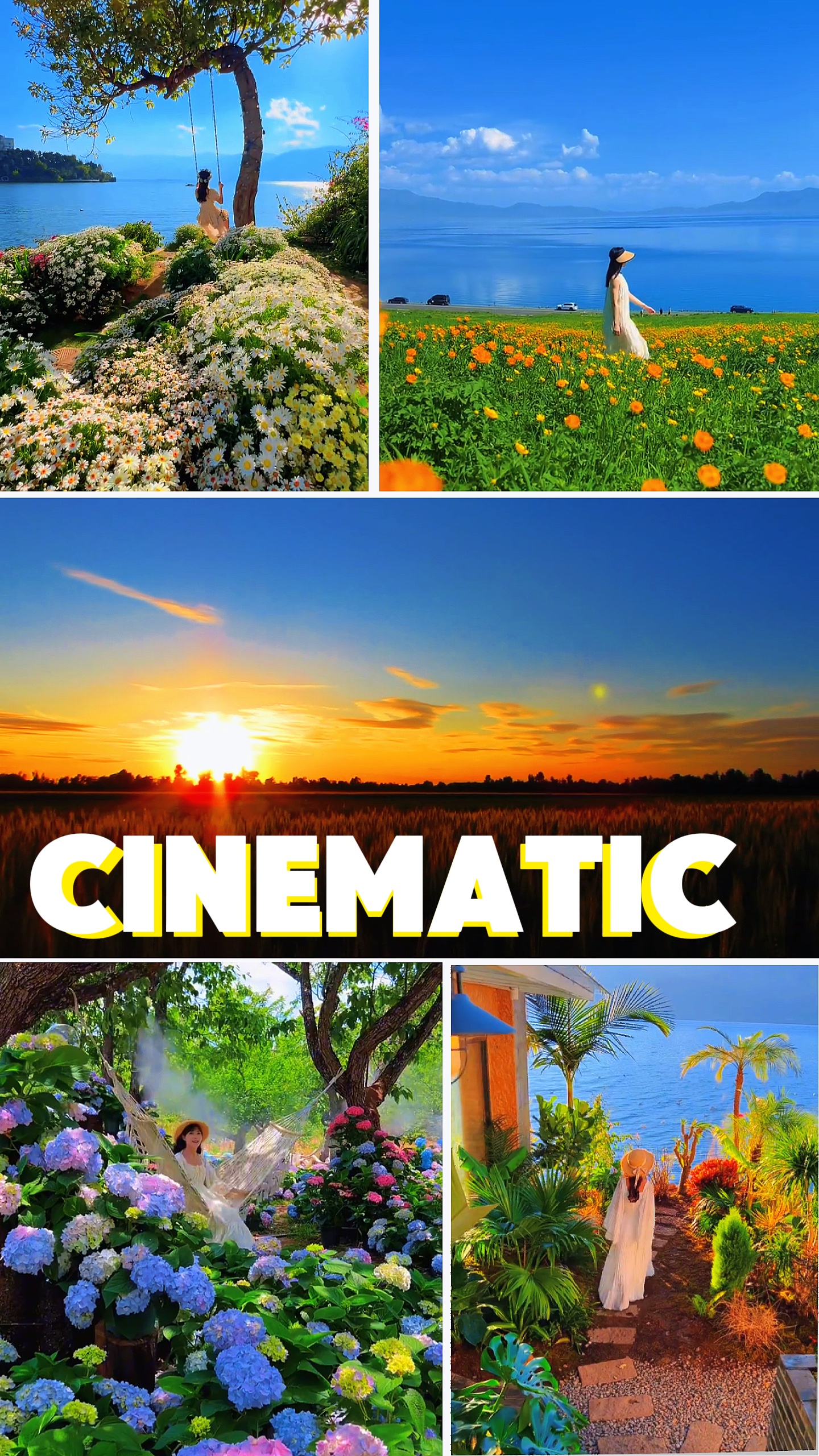 CINEMATIC 9 VIDEO/PC