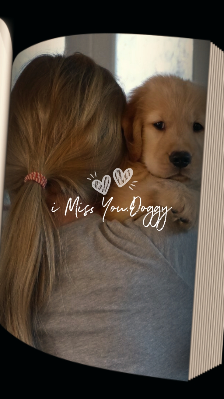 Te extraño perrito