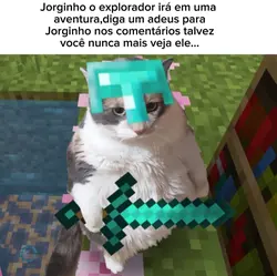 adeus Jorginho..
