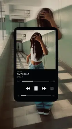 amygdala