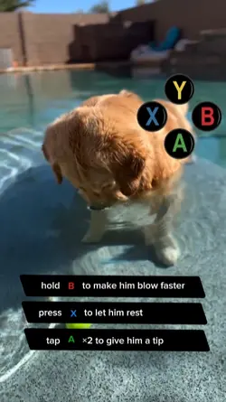 xbox controls edit