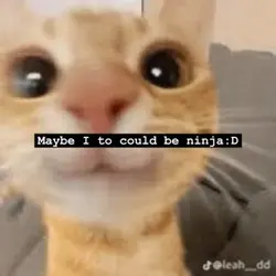 I want to be ninjaaa