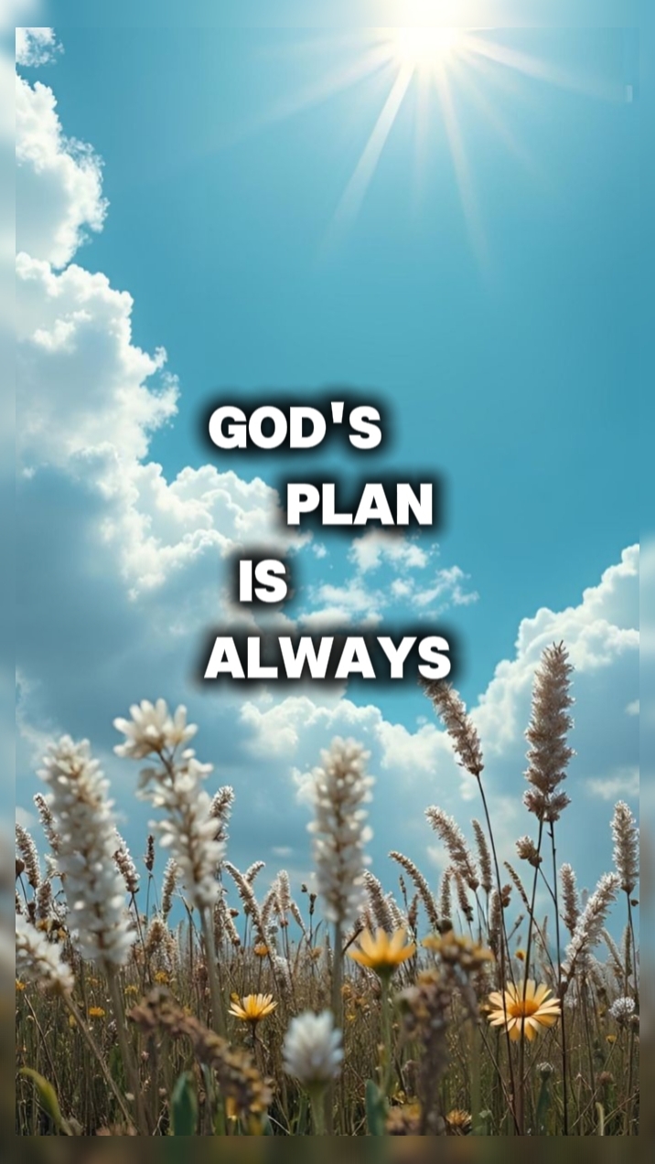EL PLAN DE DIOS 