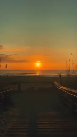 SlowMo ☀️☀️☀️