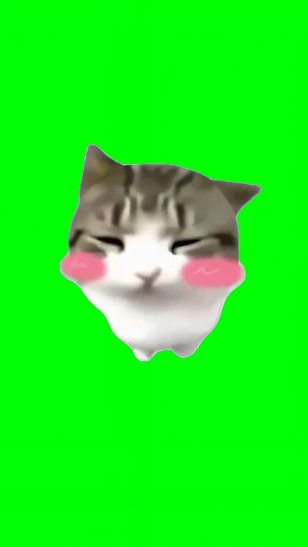 댐 댐 디디 디디