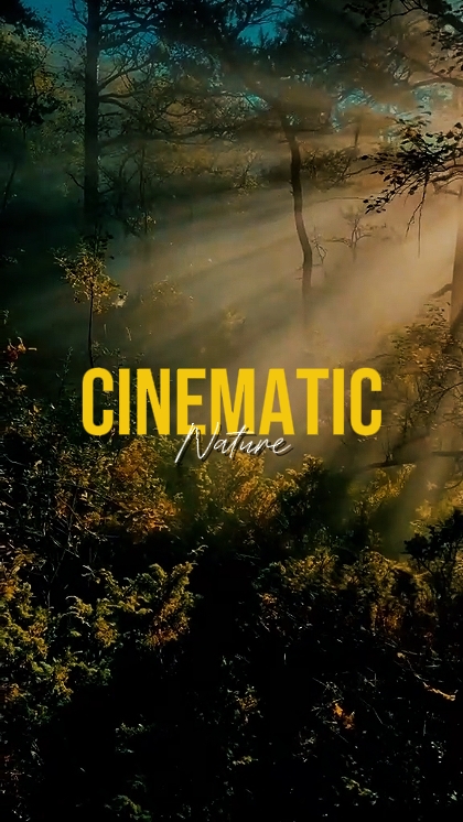 CINEMATIC NATURE