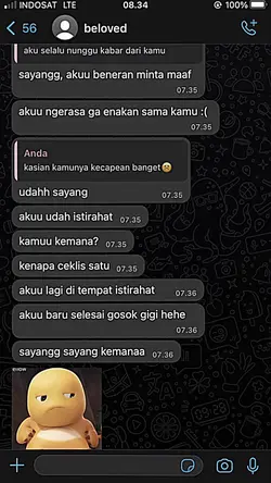ss chat wa