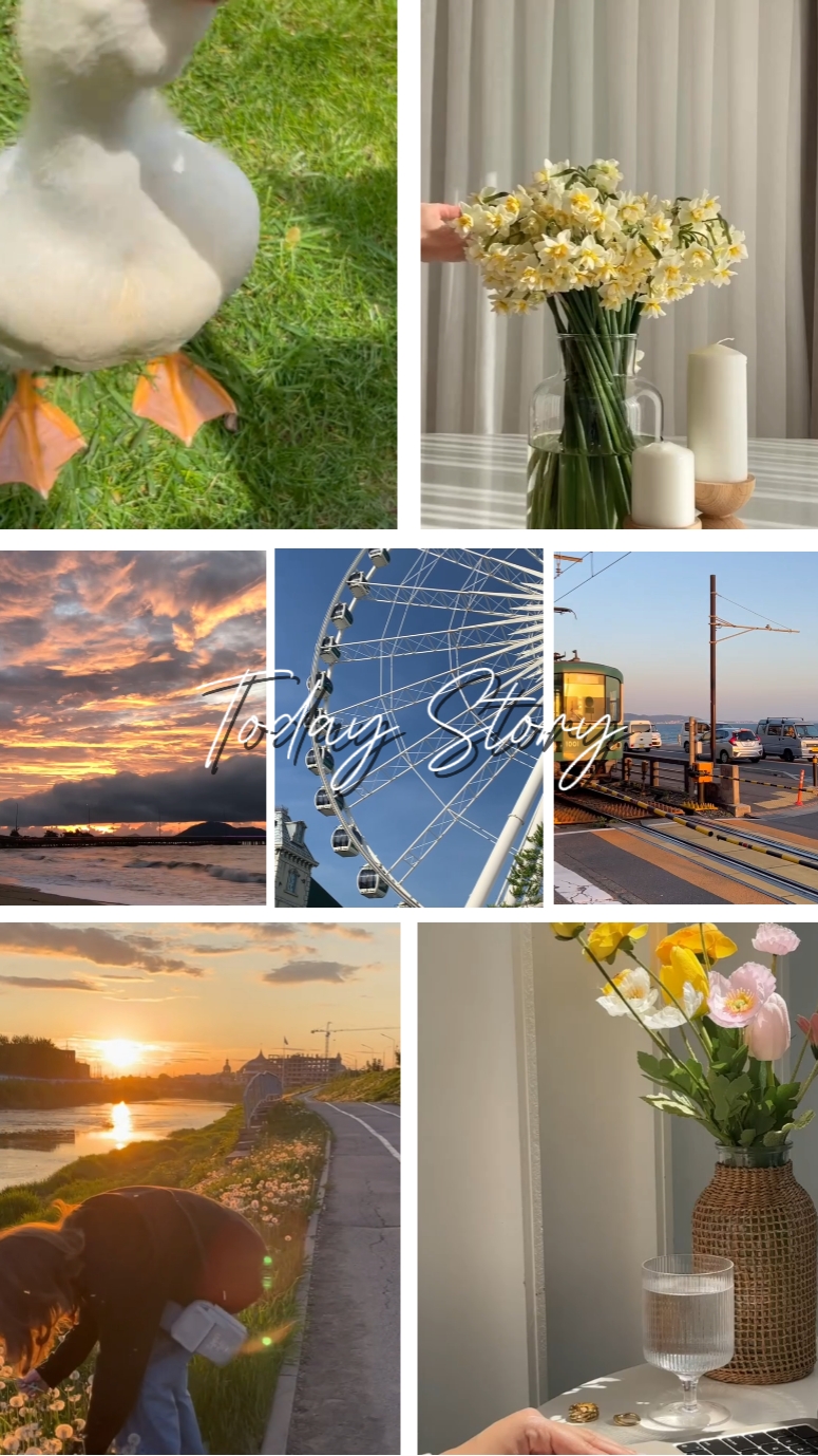 Aesthetic Story
