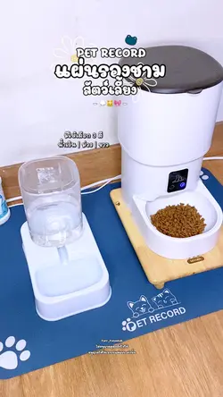 แผ่นรองชามสัตว์เลี้ยง 🐱✨