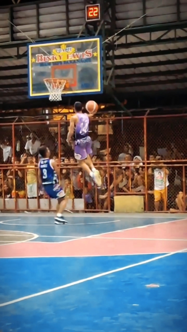 HIGHLIGHTS 