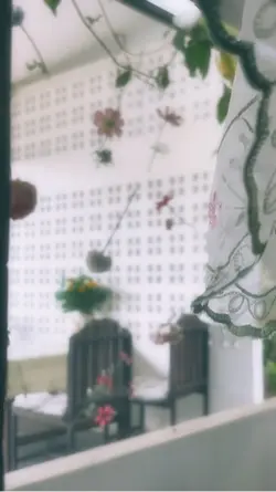 🌸˚˖𓍢ִ໋🌷͙֒✧🩷˚⋆