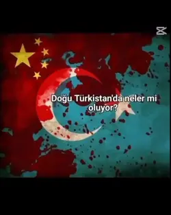 DOĞU TÜRKİSTAN