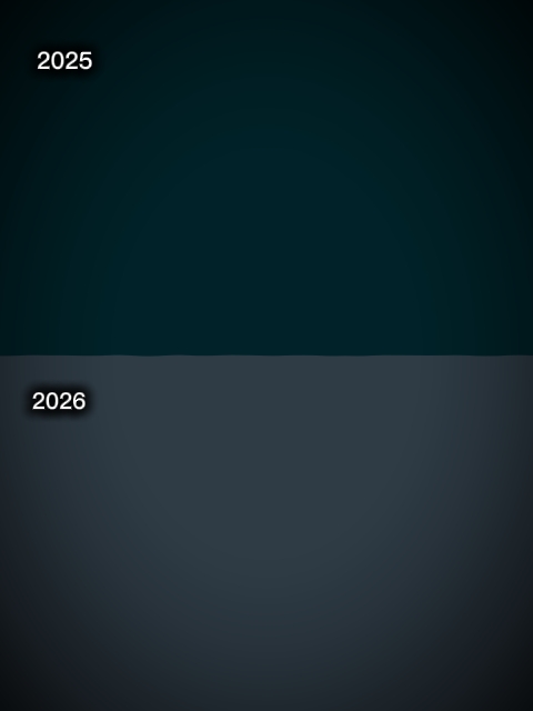 2025/ 2026