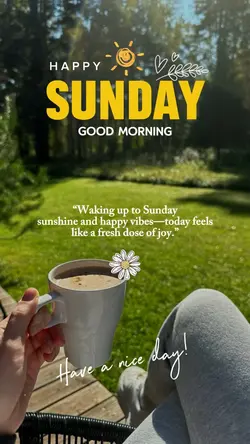 Happy Sunday 🌞