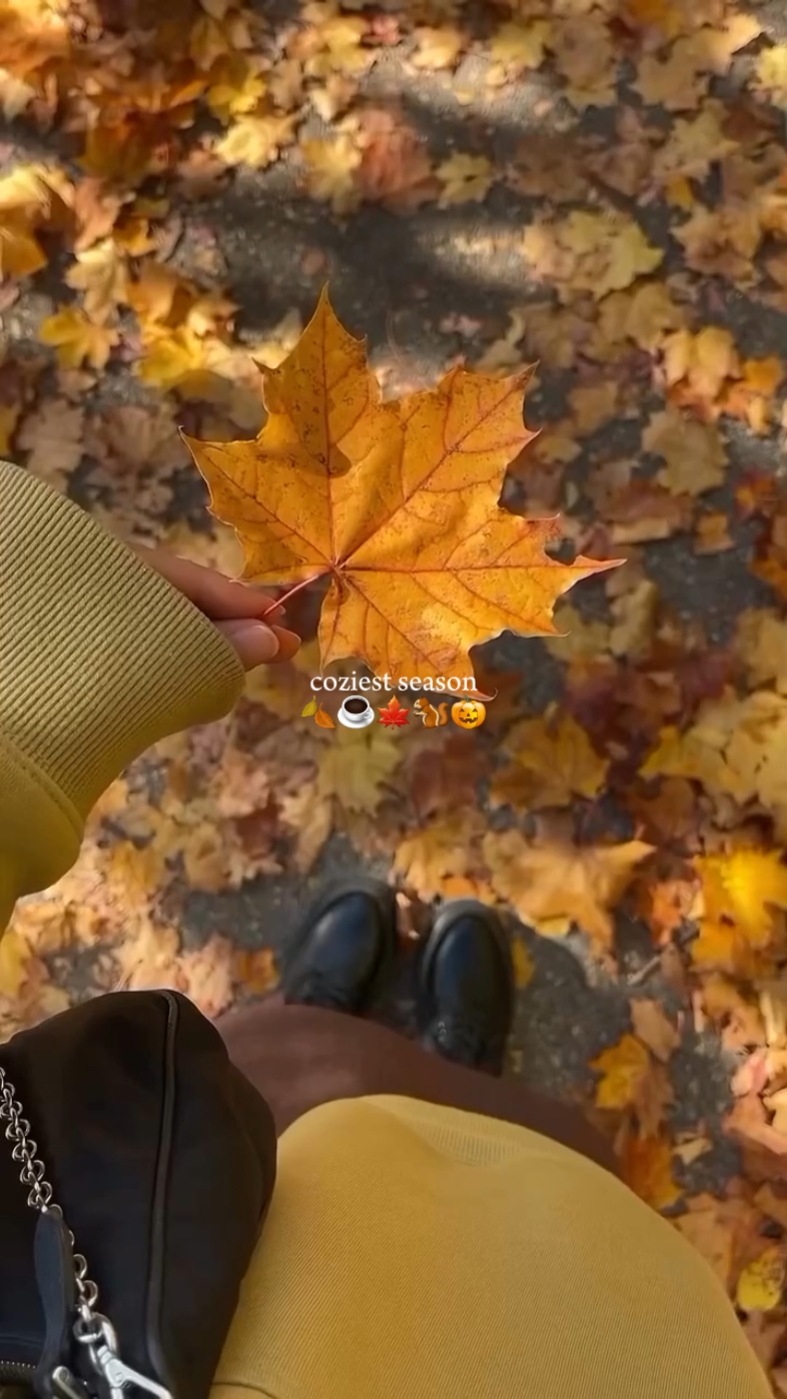 coziest season