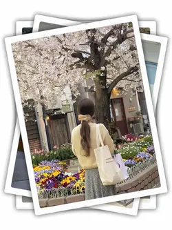 12 Photos Transition