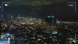 Night Vibe