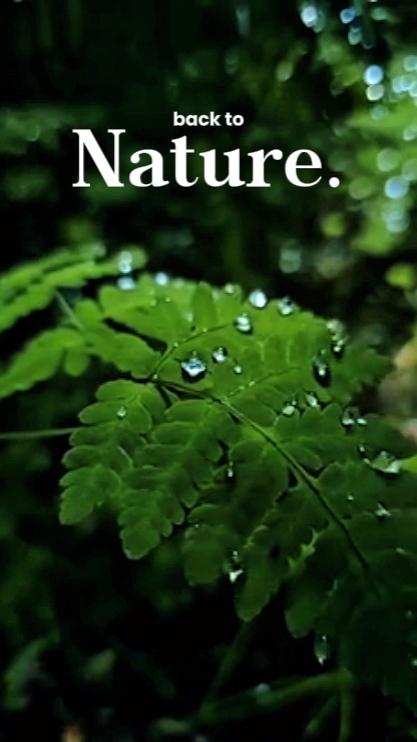 De volta à natureza