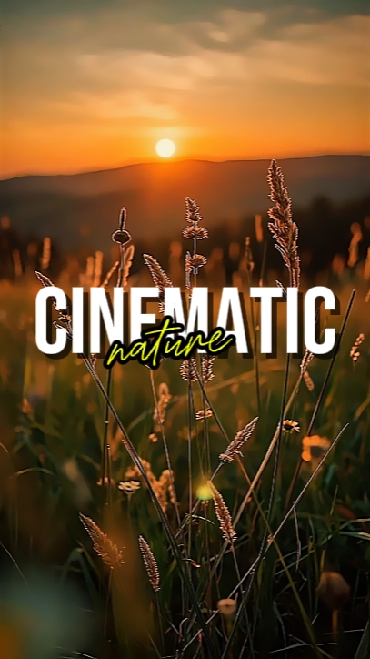 NATURE CINÉMATIQUE