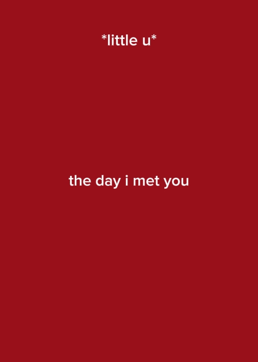 thedayimetyou